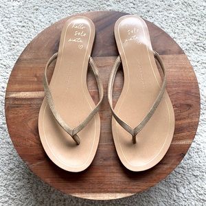 Banana Republic Flats